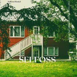 Selfoss Hostel, viešbutis mieste Selfosas