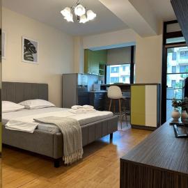 Copou Writers Nest Accommodation Hospitals Area