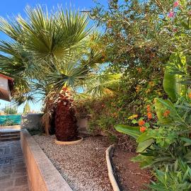 Private House in Paphos