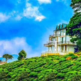 Universal Green Hills Hotel