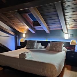 Aiestaenea Apartamentos Rurales, hotel i Isaba