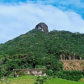 Bosque Místico, hotel in San Carlos