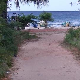 Nethu beach villa