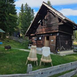 Urige Waldbienenhütte, hotel a Diex