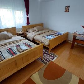 Casa din deal-Apuseni