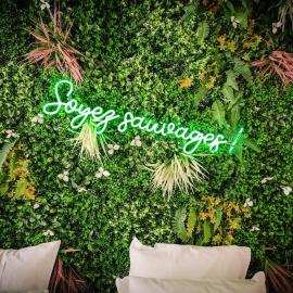 L'Amazone - Jungle Room avec Jacuzzi