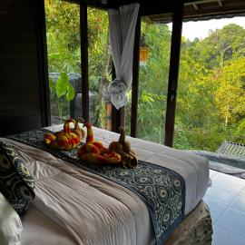 Cabin swargana real