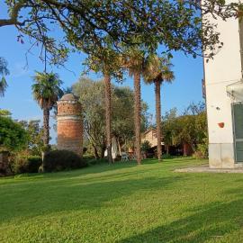 BotanicaSuiteTorino