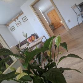 Twin Magnolias Condo、ザグレブのホテル