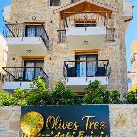 olives tree、ダッチャのホテル