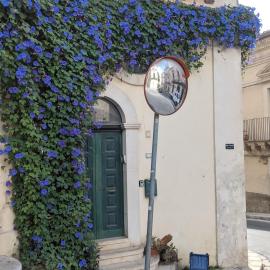 Casa verde Dafni