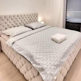 Metropolis Prime Apartment with Free Parking, hotel in Nivy