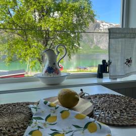 Cozy house with amazing view Lofoten and Vesterålen, hotel in Brubrekka