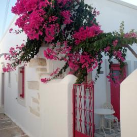 Margo Antiparos, hotel i Antiparos