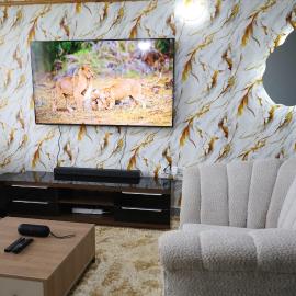 Homely Homes