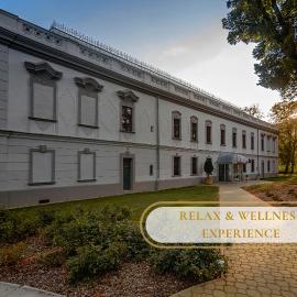 Hotel Gino Park Palace - Kaštieľ Orlové, khách sạn ở Považská Bystrica
