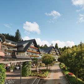 Hotel Dollenberg