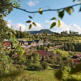 Hotel Dollenberg, ξενοδοχείο σε Bad Peterstal-Griesbach