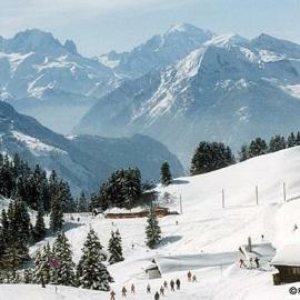 Chalet La Marmotte 1800m, Hotel in Ollon