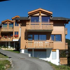 Haus Alpsägu, Bettmeralp, hotel in Bettmeralp