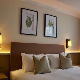 Twin Trees Hotel & Brusna Falls Leisure, hotel in Ballina