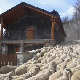 La Cabanya de Cal Forn de Serrat, khách sạn ở Queralbs