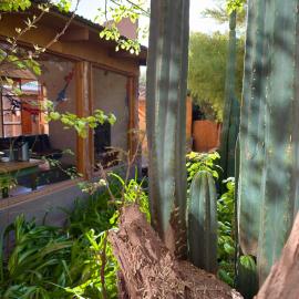 turisolcor atacama