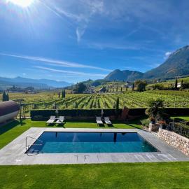 Weingut Gasshof- Panorama Pool in den Weinbergen