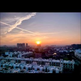 1 bhk Floral Apartment