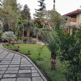 Ashara guesthouse, hotel em Āwasa