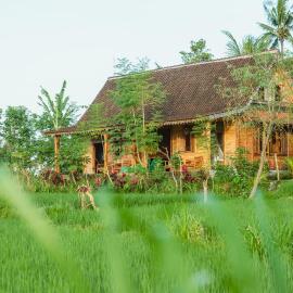 Green vanilla kabin, hotel a Silebeng