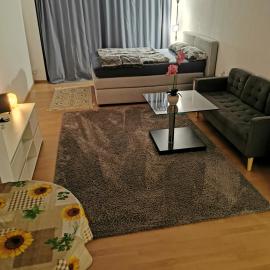 Privatwohnung im Stadtzentrum, hotel a Giessen
