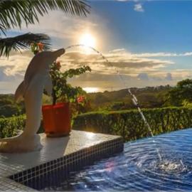 PRIVATE SPACE Just you and the Birds with PRIVATE INFINITY POOL, hotel in Uvita