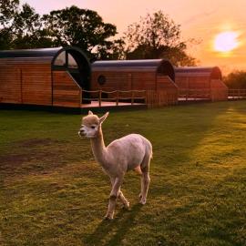 Luxury Lodge with Hot Tub next to Belfry Golf Course, hotel in Middleton