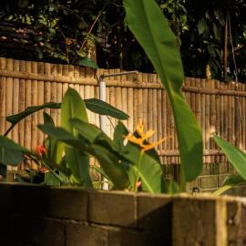 Banana surf and stay, hotel u gradu 'Batukaras'