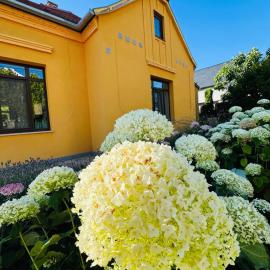 Füredi Virág Villa