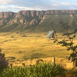 Harrismith में, होटल SUMMER PLACE