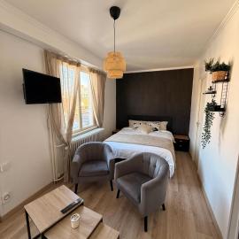 Studio dans le cœur de Mulhouse, Hotel in Mulhouse