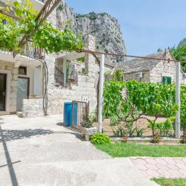 Apartments Petea Omis