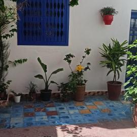 Dar Mobarak, Hotel in Oualidia