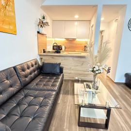 Apartments KrAnJ - Family apartment Jurček