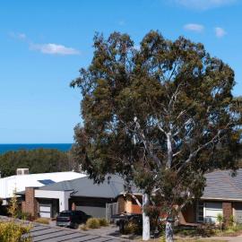 Spacious Seaview Family Getaway, hotel in Torquay