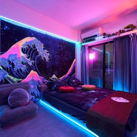 Cyber Shinjyuku Tokyo Room