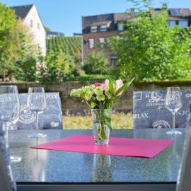 NEU Mont Royal Suiten 2 bis 4 Personen, hotel in Traben-Trarbach