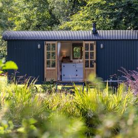 Peatlands Retreat, Causeway Coast