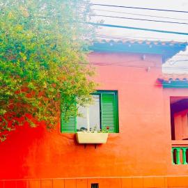 Casa Flores na Janela