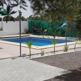 Oasis Pool in the Desert BBQ and Garden