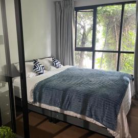 Centrio room