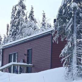 Olos koti