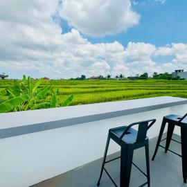 New Villa 2 Bedroom in Canggu